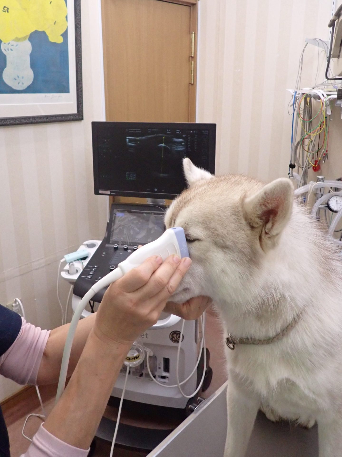 超音波検査機器