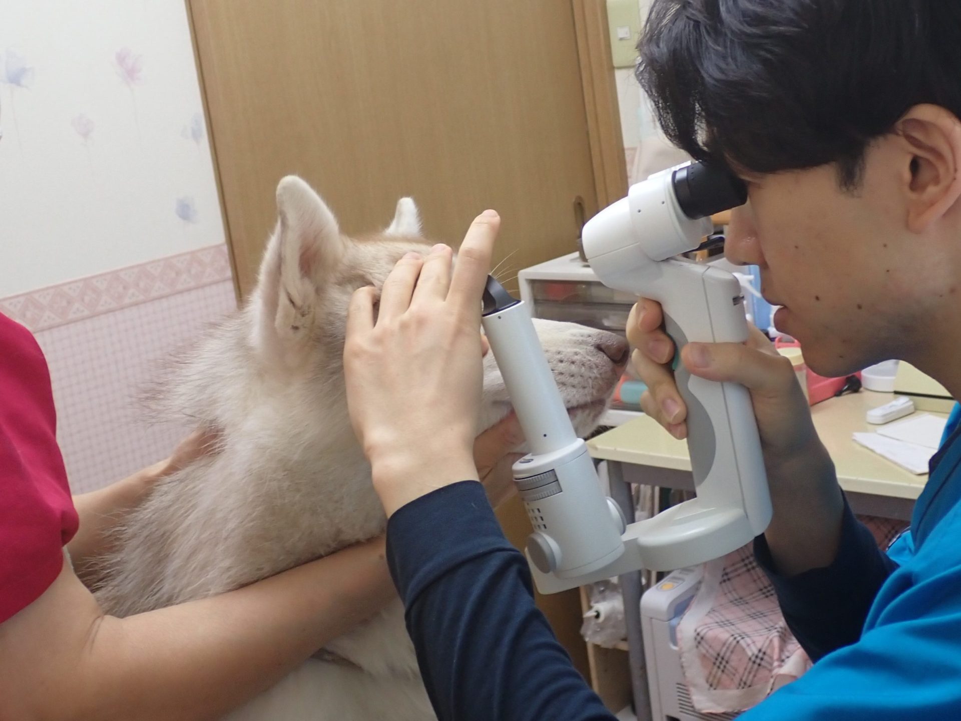 スリットランプによる診察