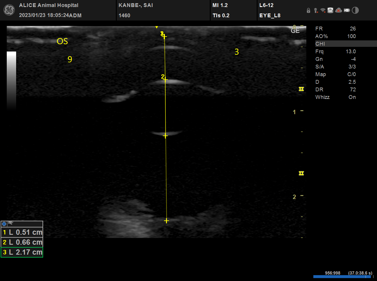 習志野市 アリス動物病院 眼科検査機器 眼科超音波検査